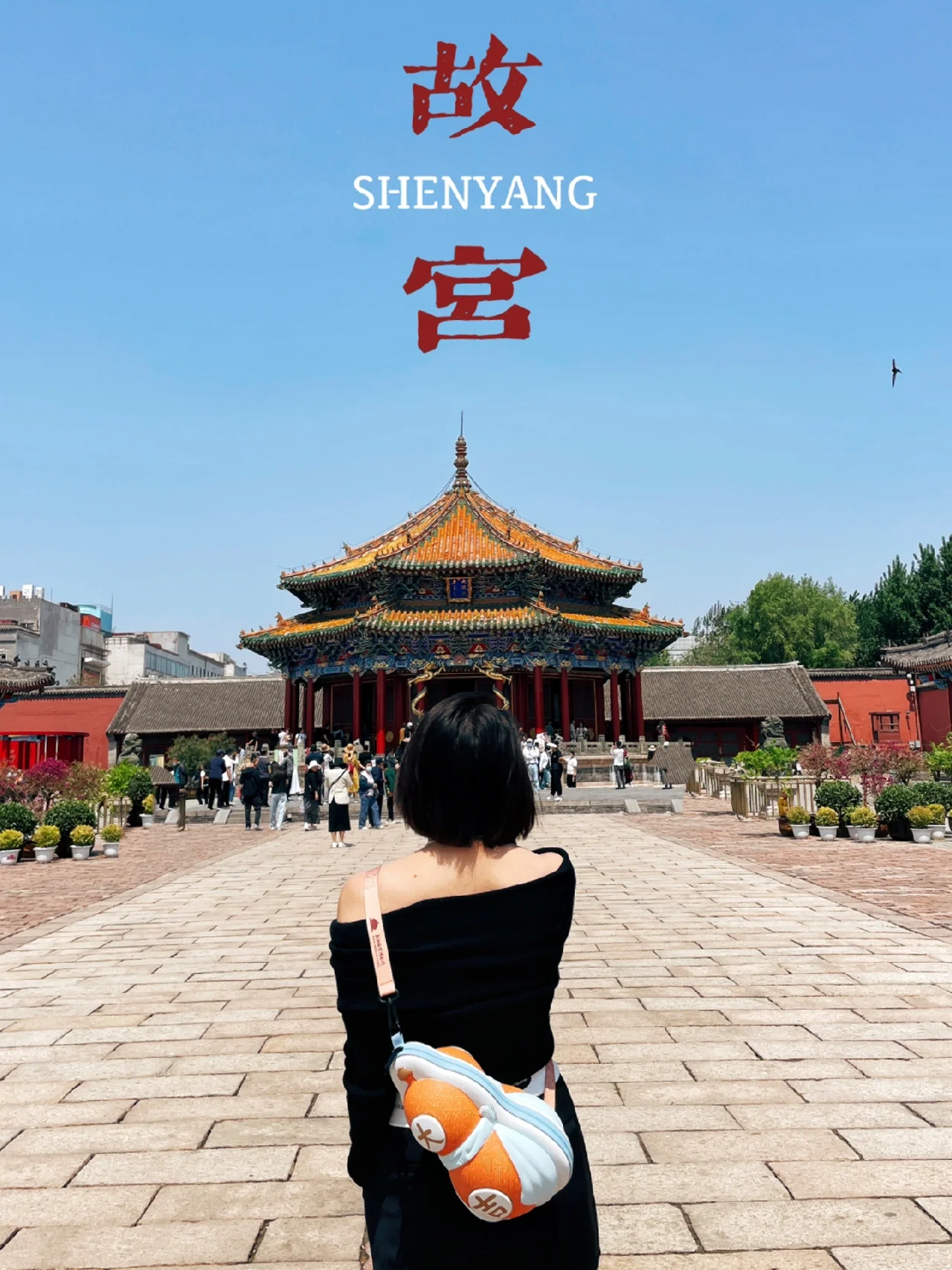 来沈阳旅游一定要去故宫拍照！攻略来啦！