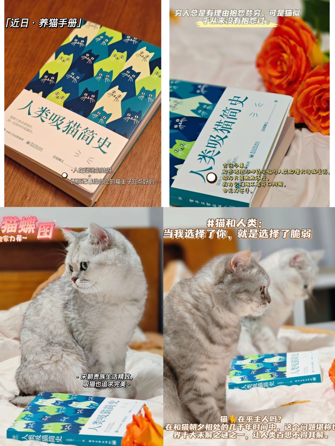 吸猫：是让大脑放空，活得长久❓
◽️嘉靖皇帝给猫造金棺材？这是真的假的？
◽️钱