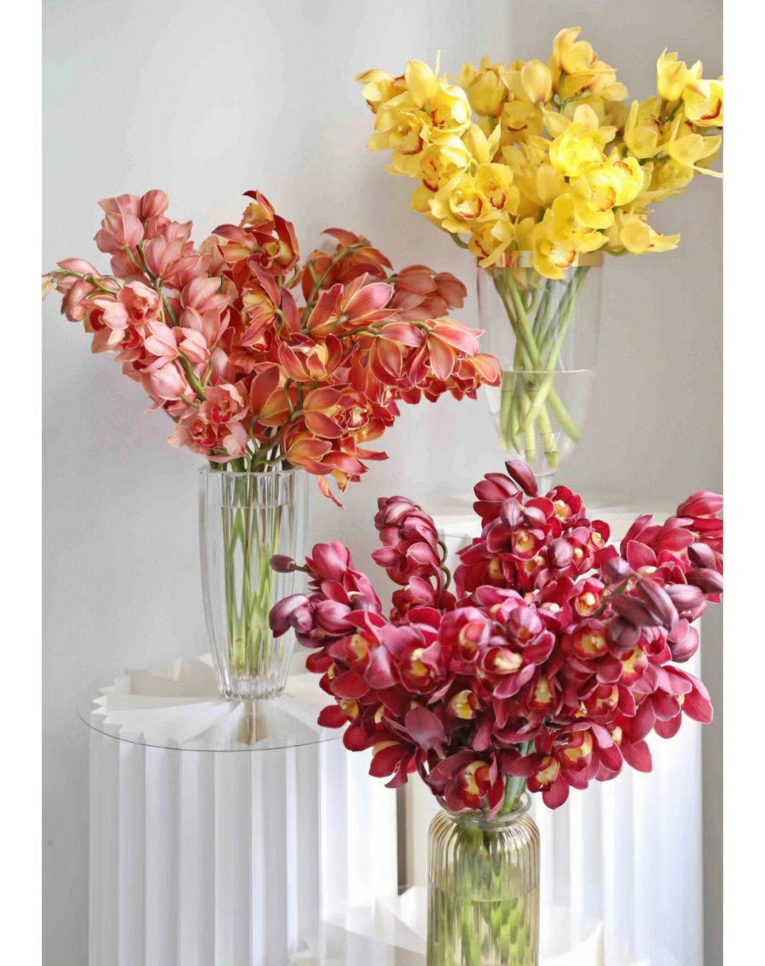 大花蕙兰
别名：人家富贵花
花期：一个月左右
寓意：丰盛祥和，高贵雍容，万事如意