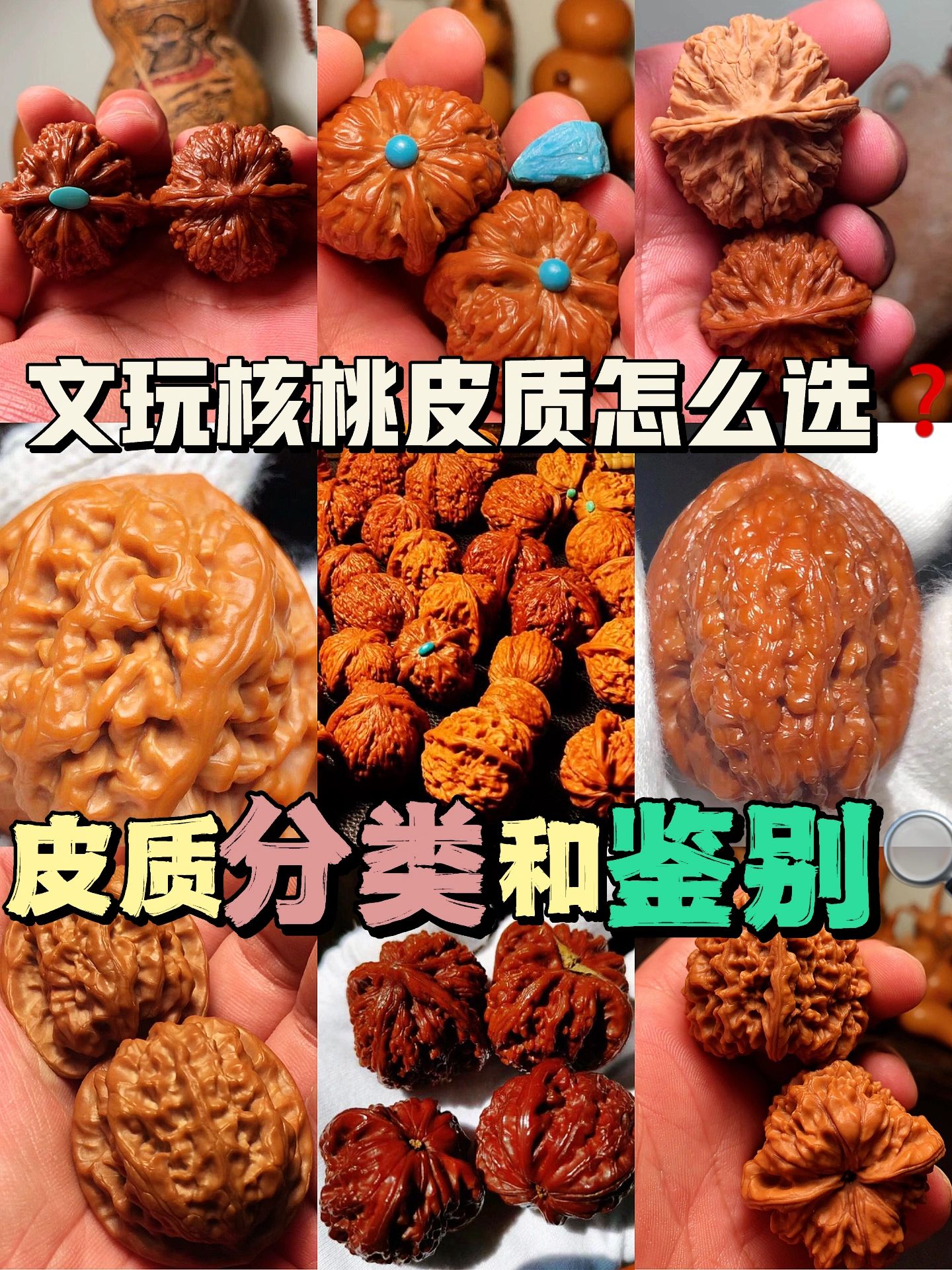 干货🌟文玩核桃皮质分类和鉴别新手宝藏