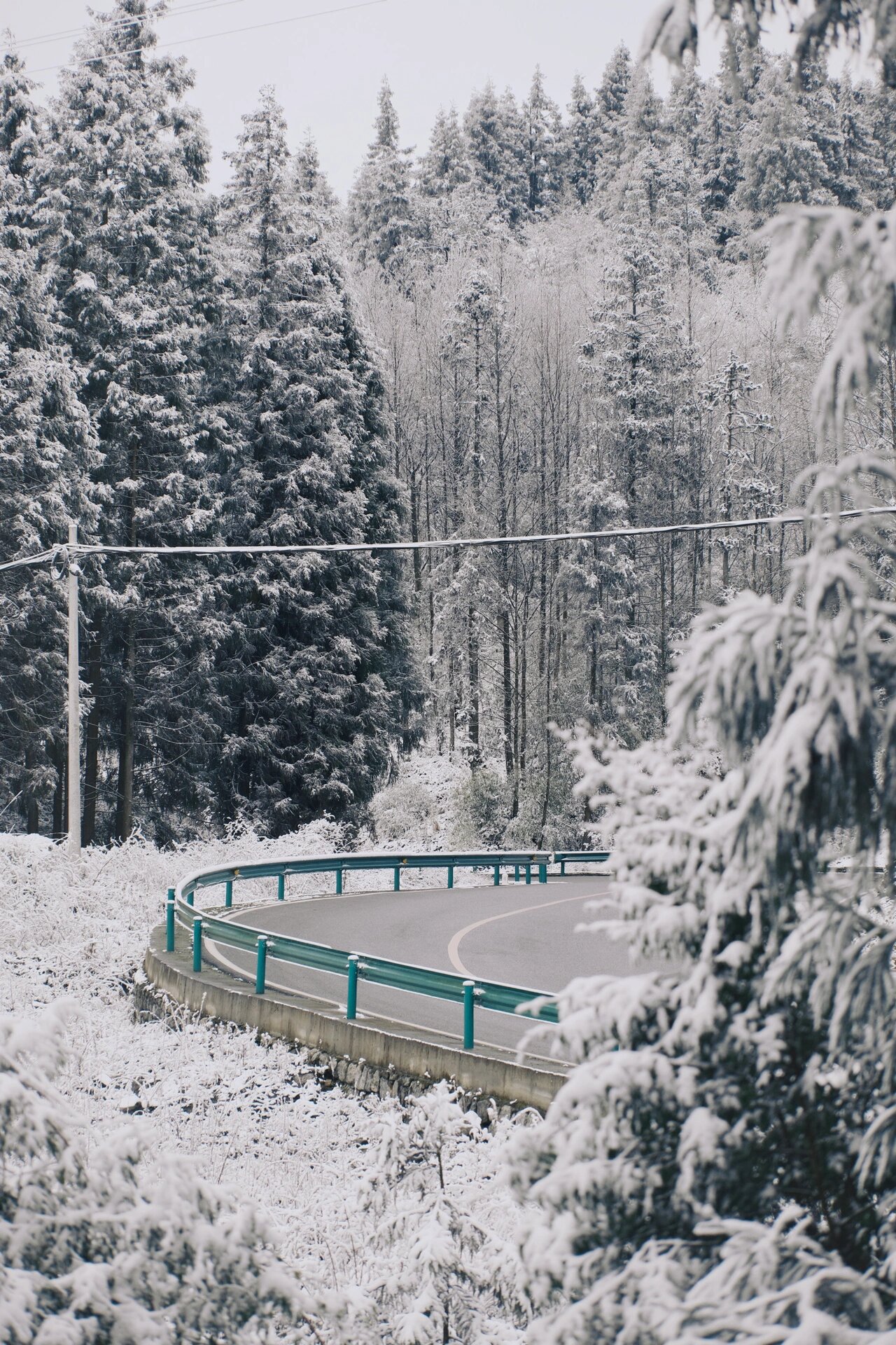 去看一场童话里的雪，这样拍可太出片了