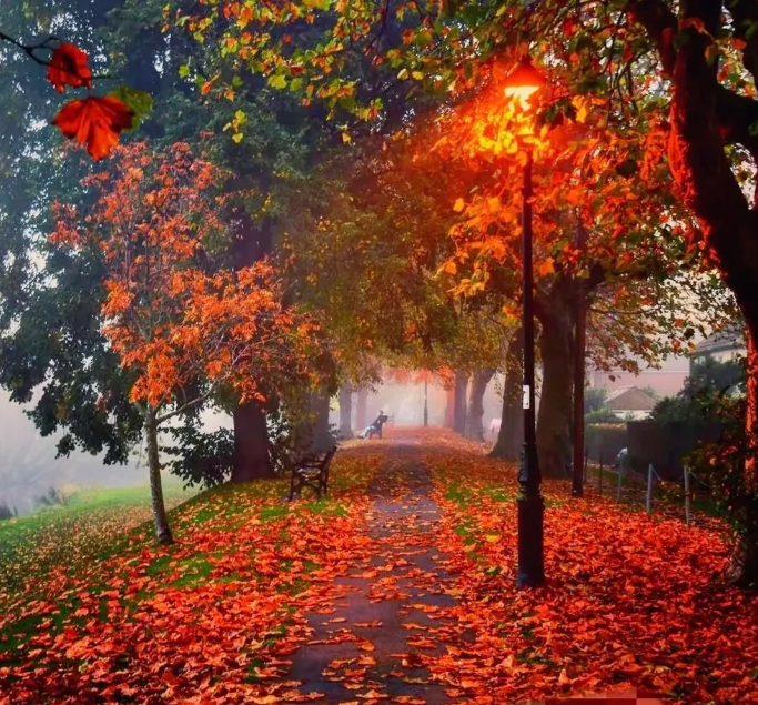 日子一晃我今年63了，退休这么多年，让我看清了很多事情，我认为往后余生，不管你有