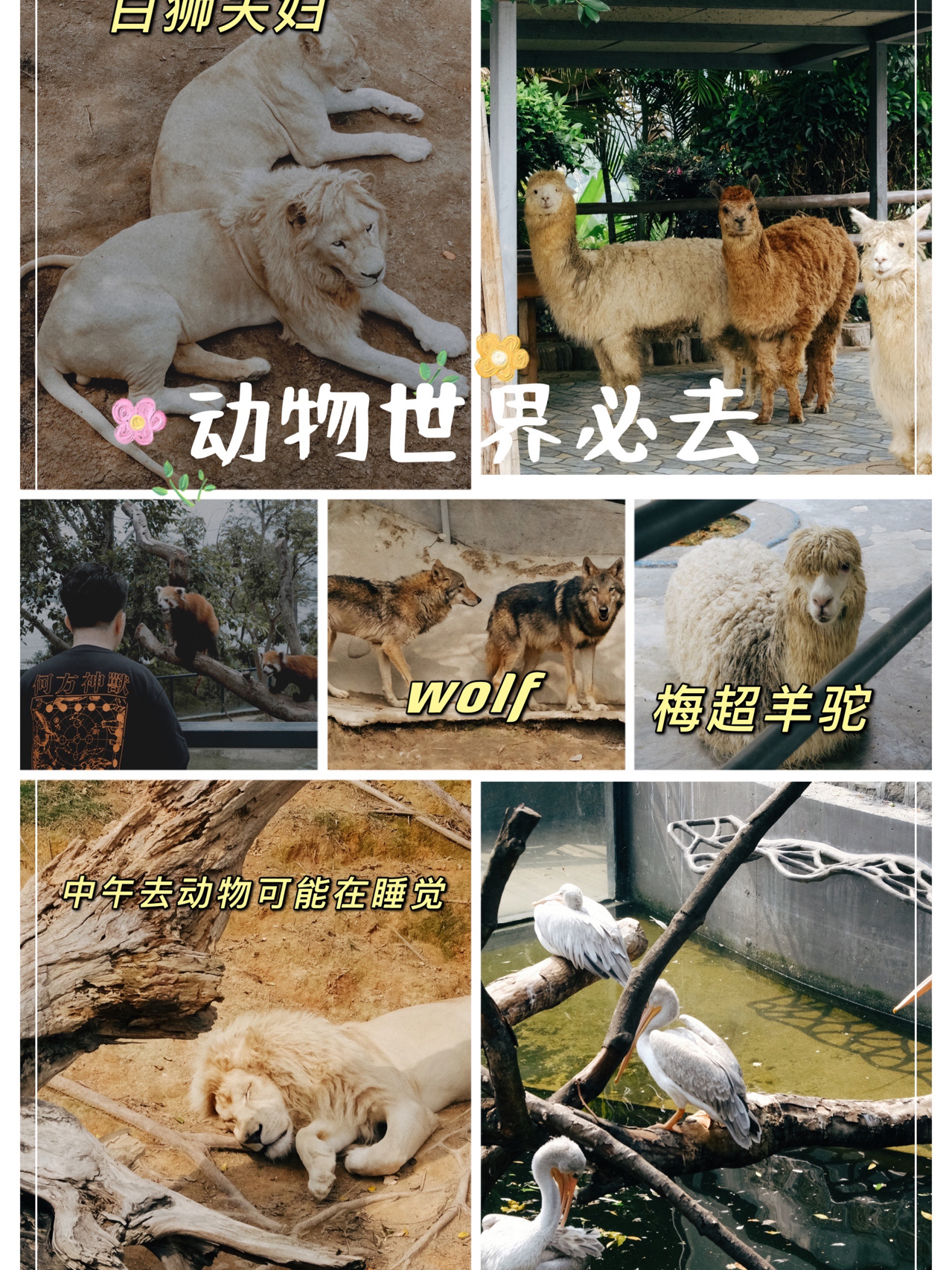 厦门周边游｜天柱山游玩观云山庄攻略全