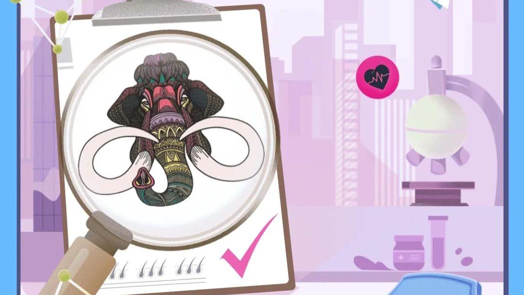 兼顾专业科普和品牌价值，西瓜视频「健康周刊」启发健康传播新思路