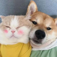 我在人间写过诗