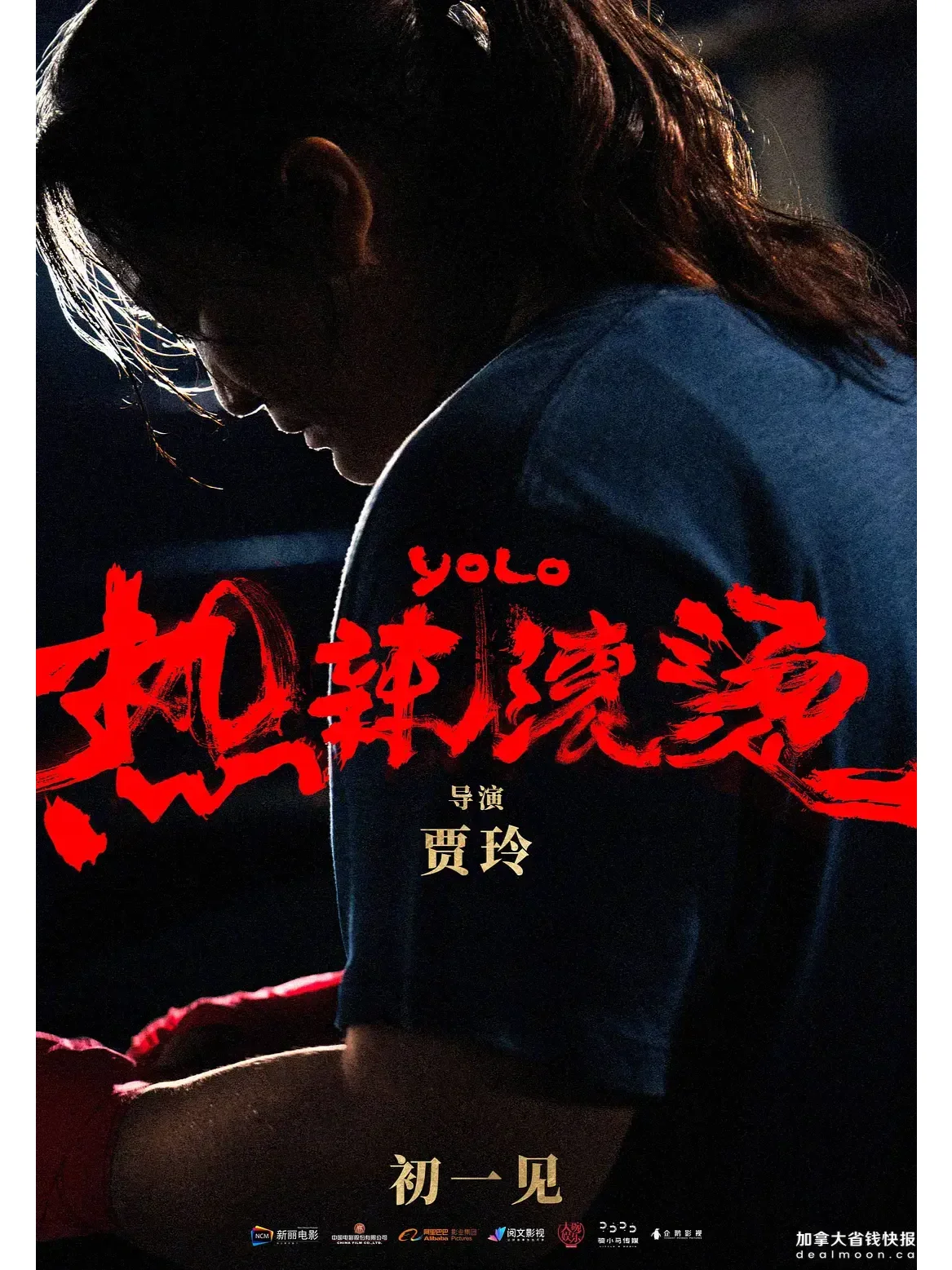 2024备受期待的贺岁电影