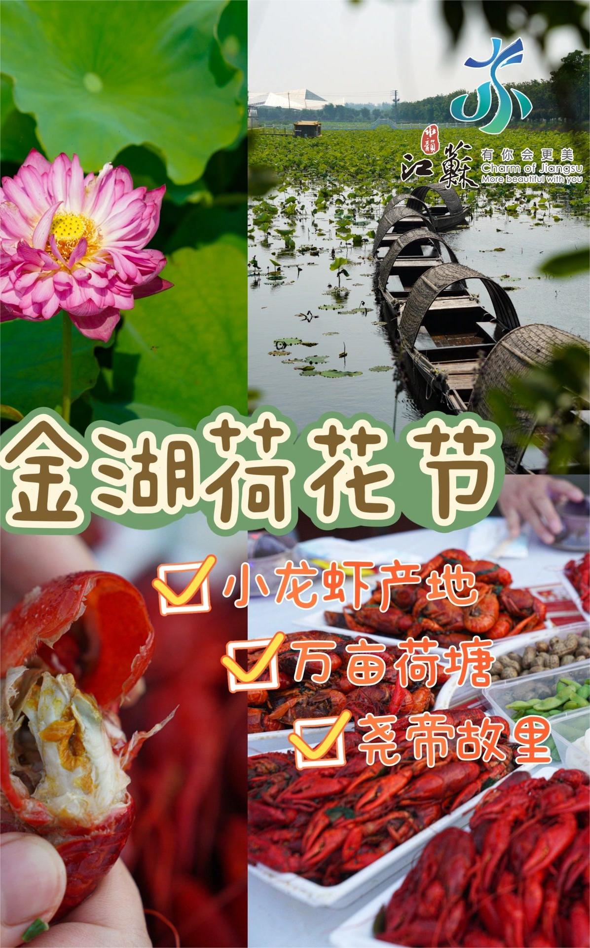 南京｜荷花节+龙虾宴真的太过瘾了