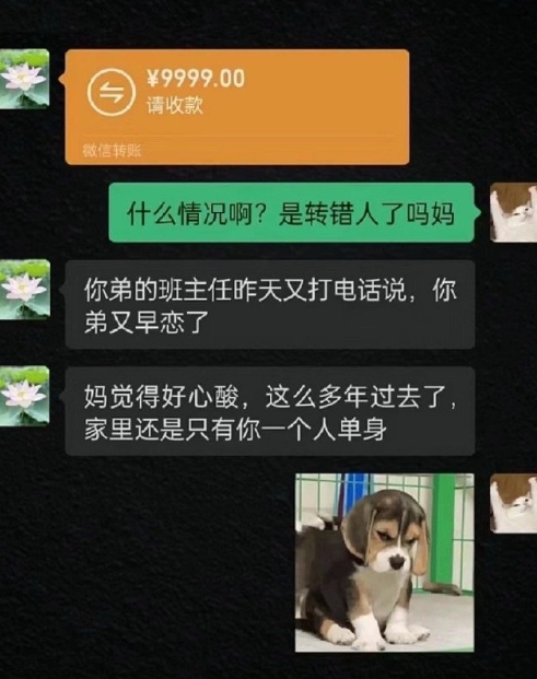 妈妈突然的转账让我沉默了 ​​​