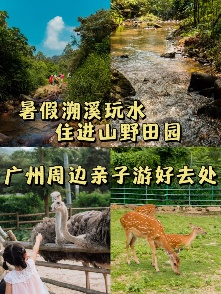 暑假溯溪玩水。广州周边亲子游好去处!