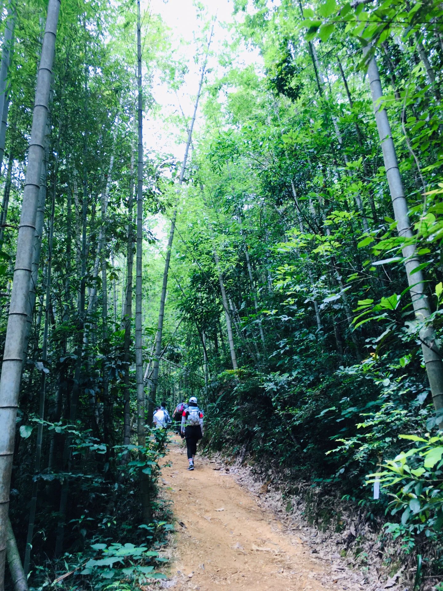 广州从化星溪线，深圳周边亲子溯溪竹筒饭