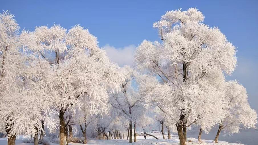 新年算美好吧！