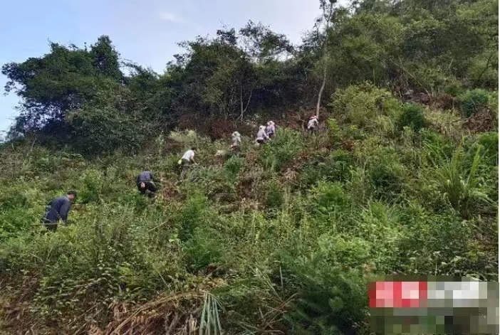 “大快人心！”河南郑州，一男子不顾家人反对承包了250亩荒山。没曾想，他刚把荒山