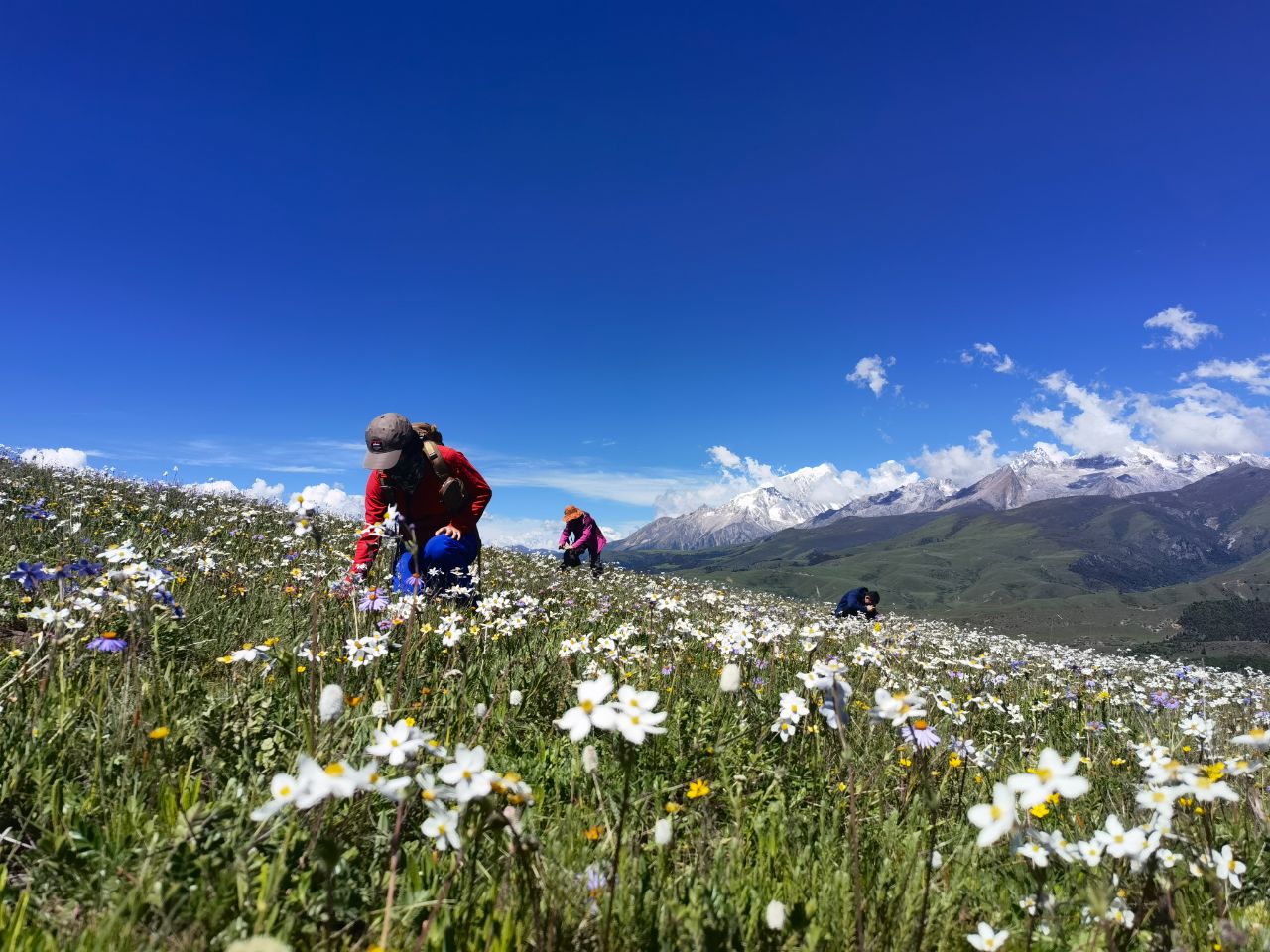 神山轻装徒步，感受大自然的美好