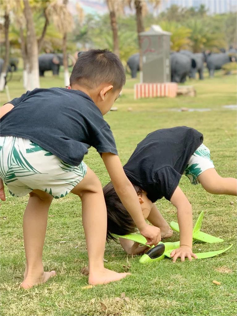 西双版纳｜澜沧江边大象群
