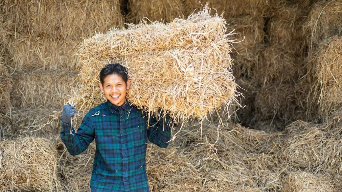 农村光棍之所以被社会抛弃，贫穷只是其中之一，这些因素也很关键