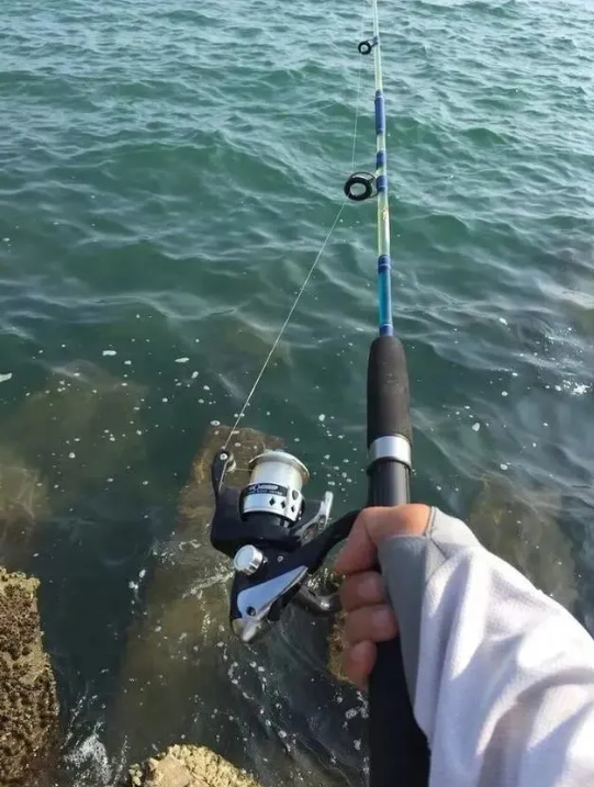 增城免费野钓位置推荐，巴掌非和鲢鳙居多