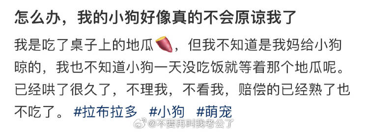 怎么办，我的小狗好像真的不会原谅我了 ​​​