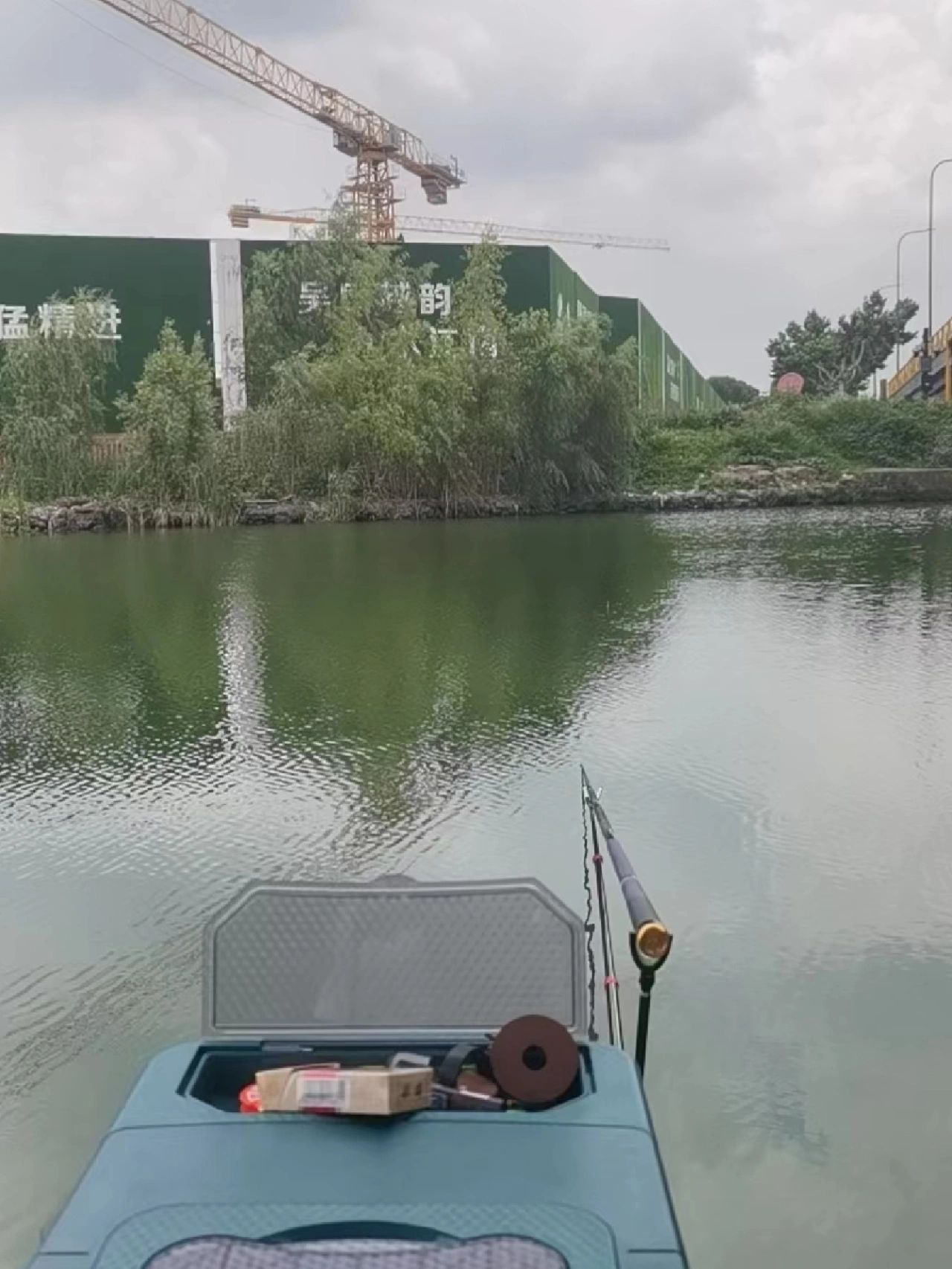 巨物如何钓？新手鱼种垂钓教学