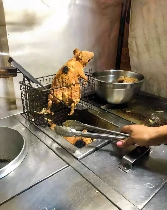 生意难做，开的油炸小吃店又要黄了，每天就做40-60 元，还是开在学校附近，人又