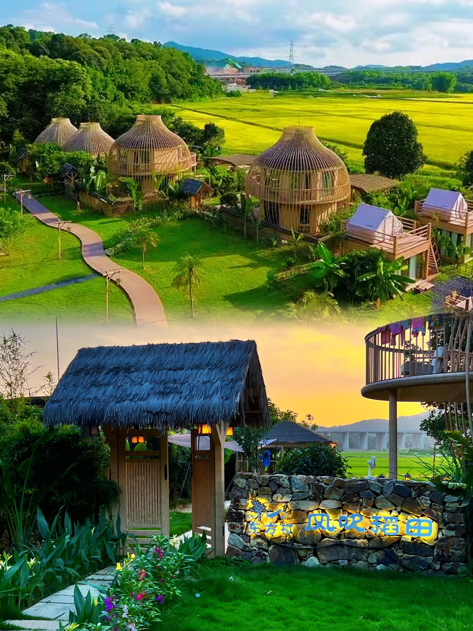 国庆避开人潮 | 广州1h森野秘境🌲