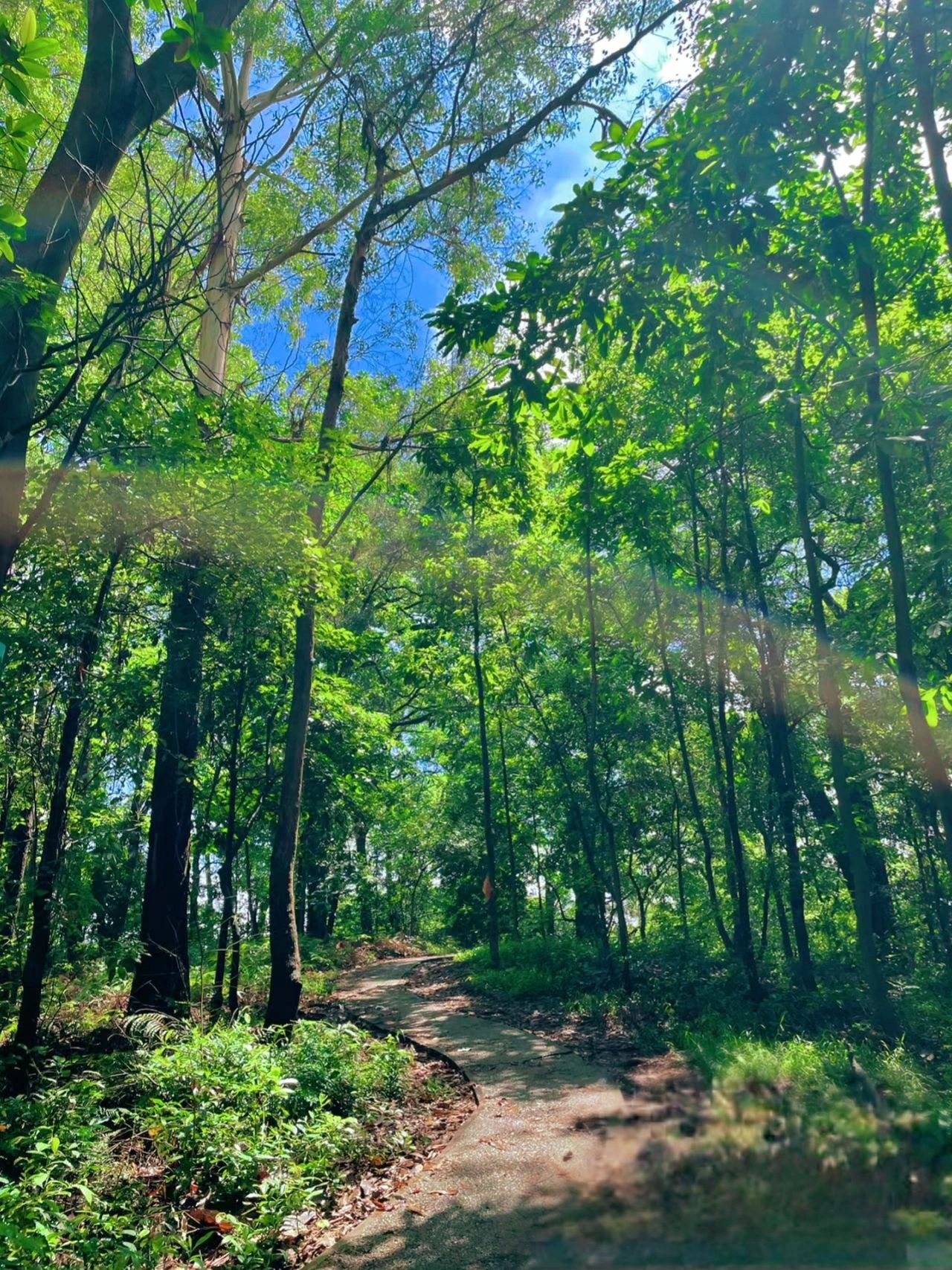 广州最后一滴眼泪｜六片山
