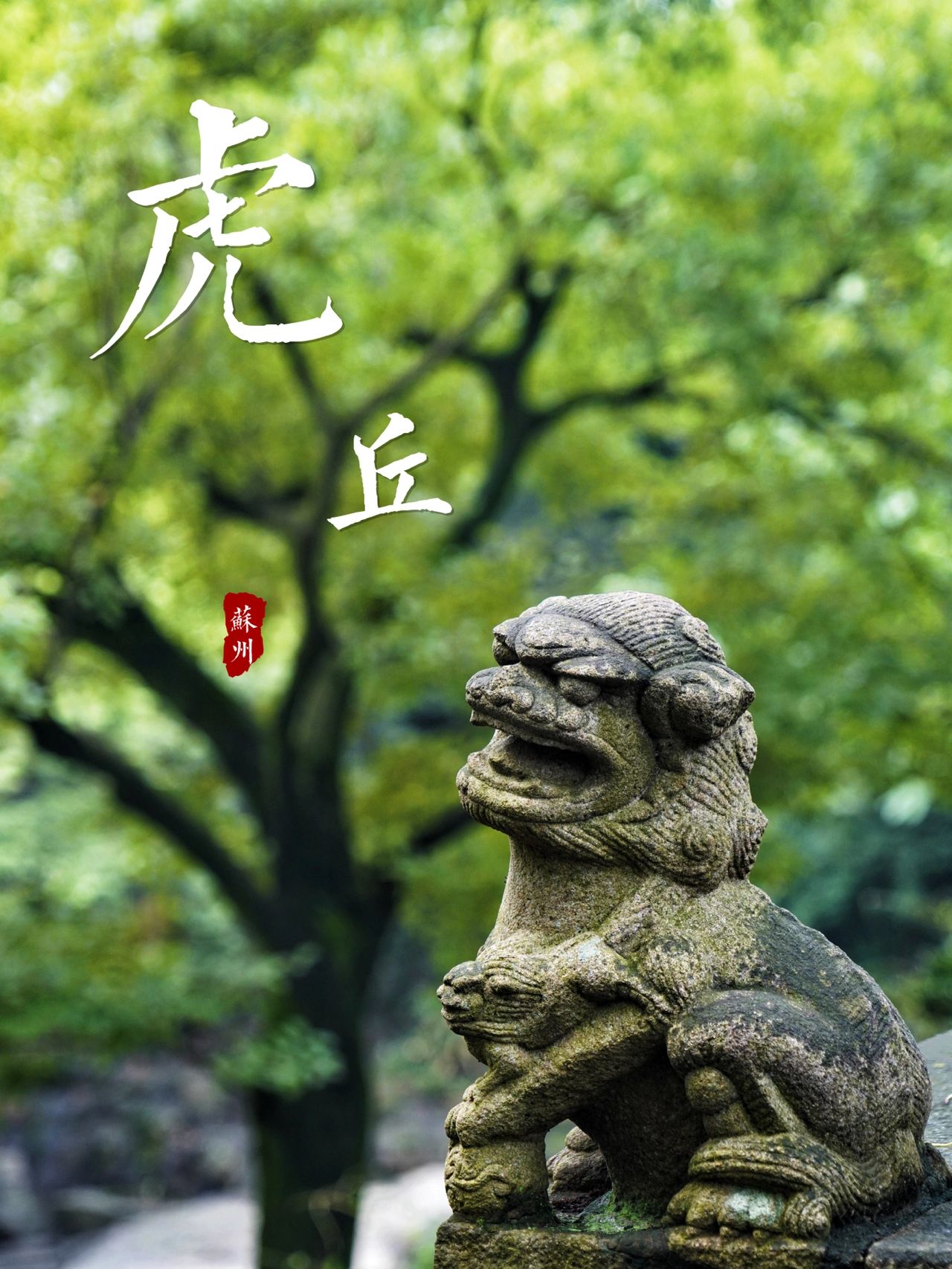 看上一眼便是千年｜第一名胜｜苏州虎丘