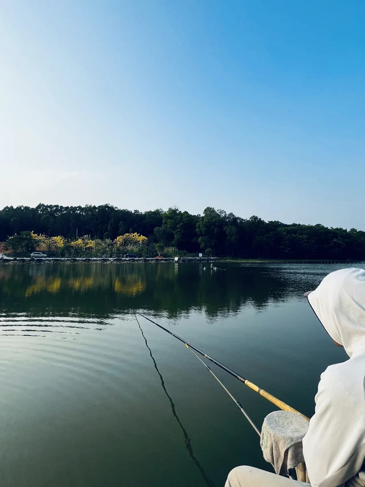 大口吸气/佛山市植物园