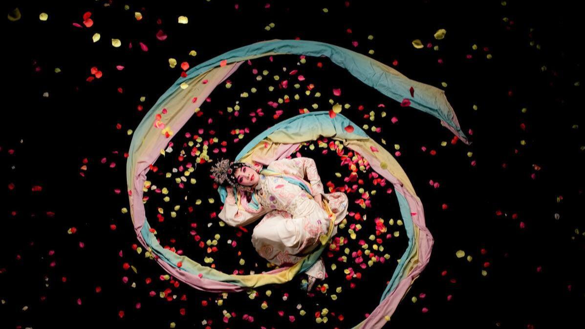 芳华留不住，岁月已白头