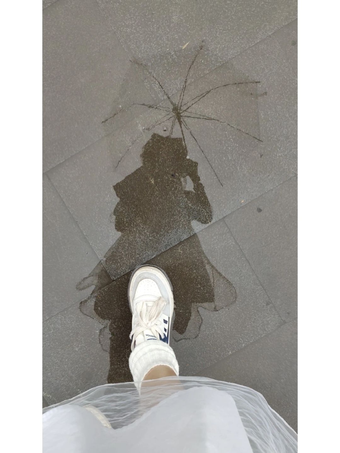 雨中倒影，是猫猫耶！