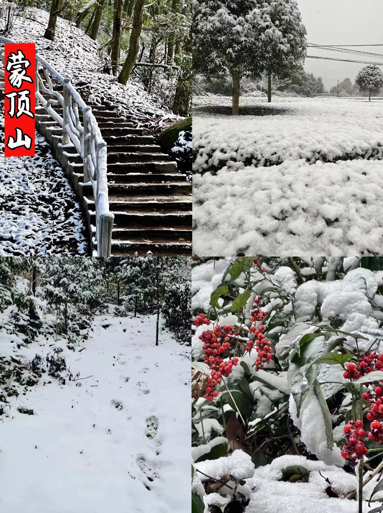冬季爬山去哪儿❓新手品质徒步路线出行
