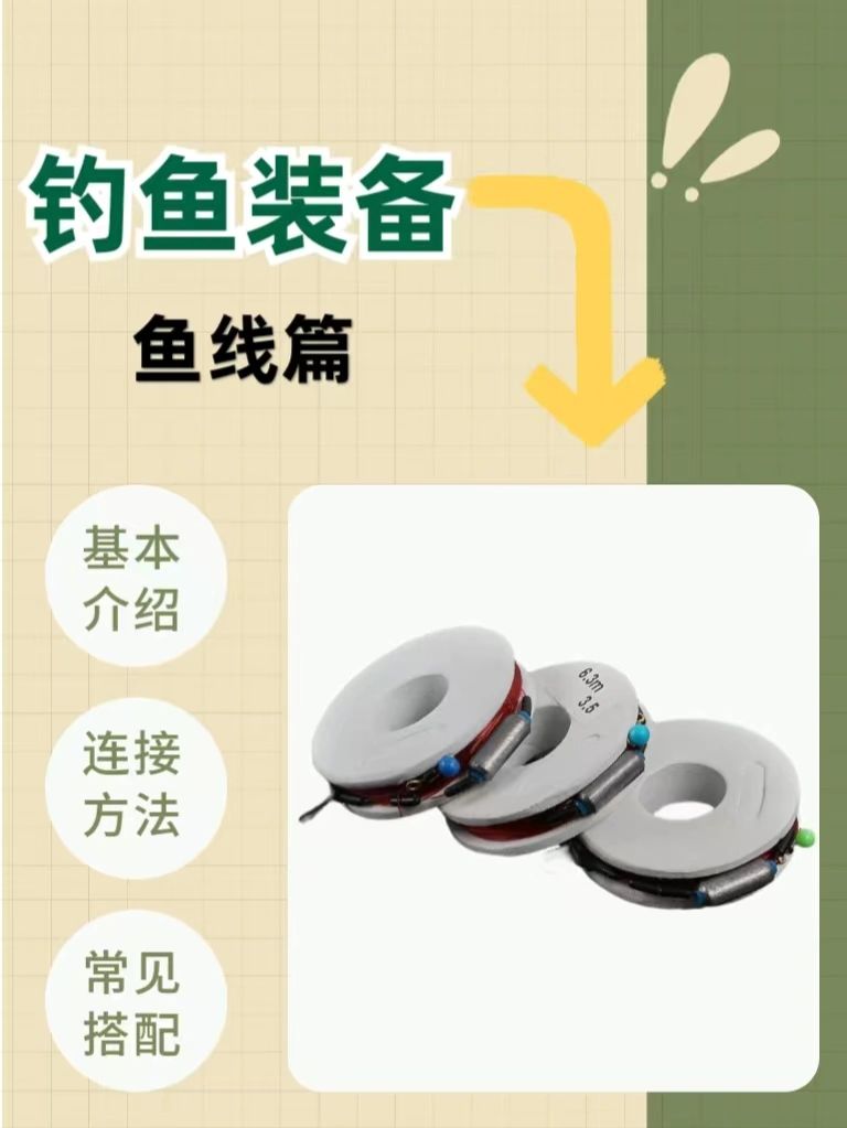 我的钓鱼日记|钓鱼入门装备&鱼线篇