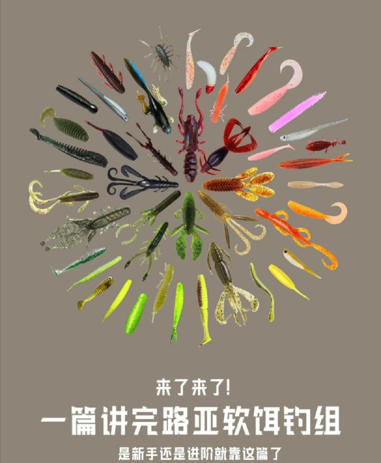 路亚饵使用方法，新手如何选饵