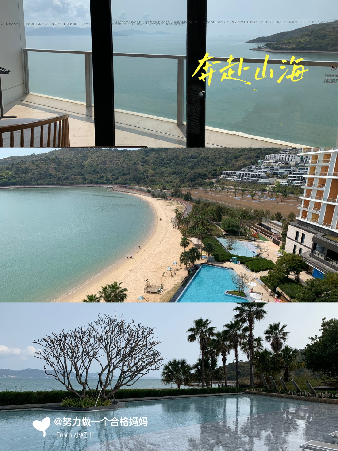 第一次带娃去小径湾艾美酒店要知道的3件事
