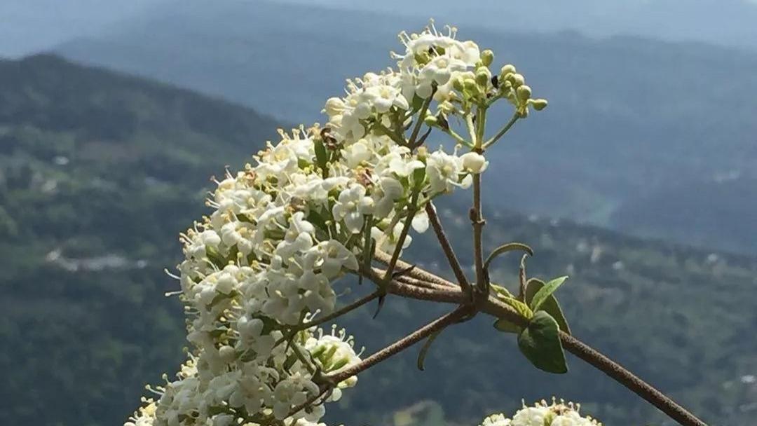 天书疑云：那些隐藏在乡村里的故事（一）