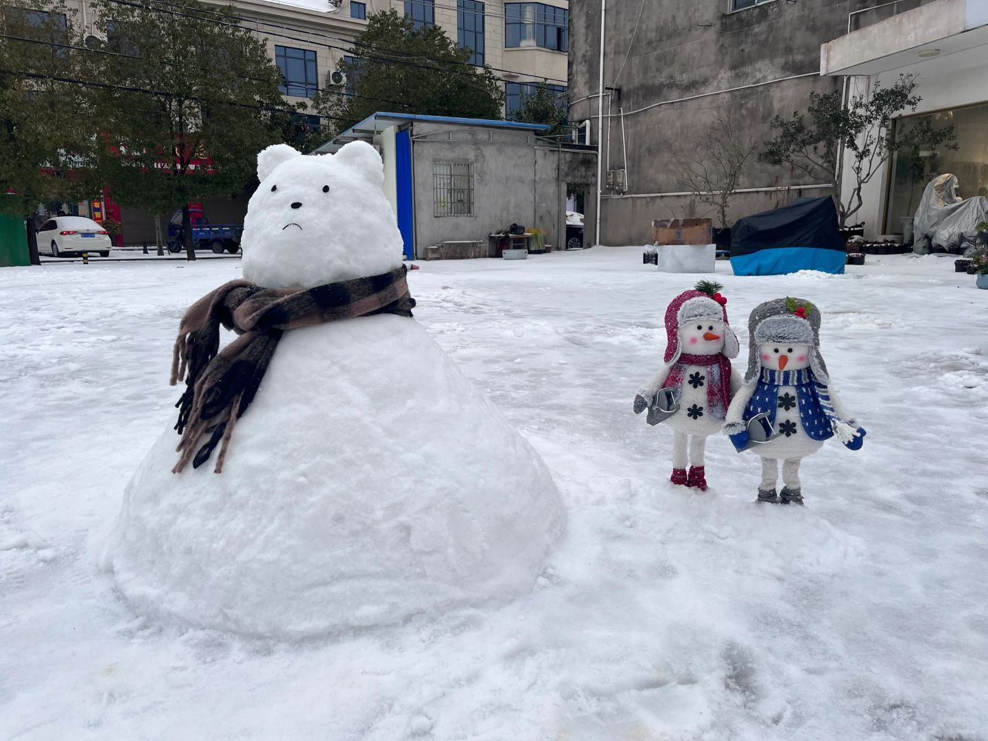 湖北 真 极寒之地🥲
#下雪
    
上班之后不再爱雪天💔

暴雪➕打雷，