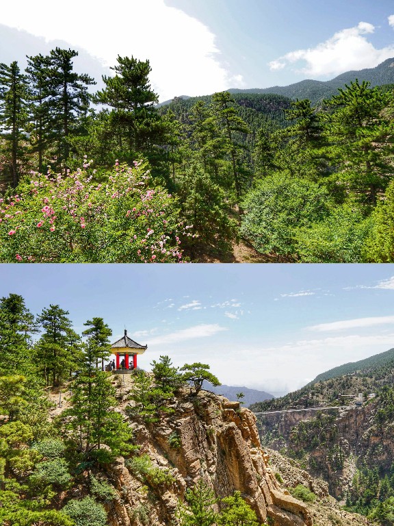 贺兰山国家森林公园！