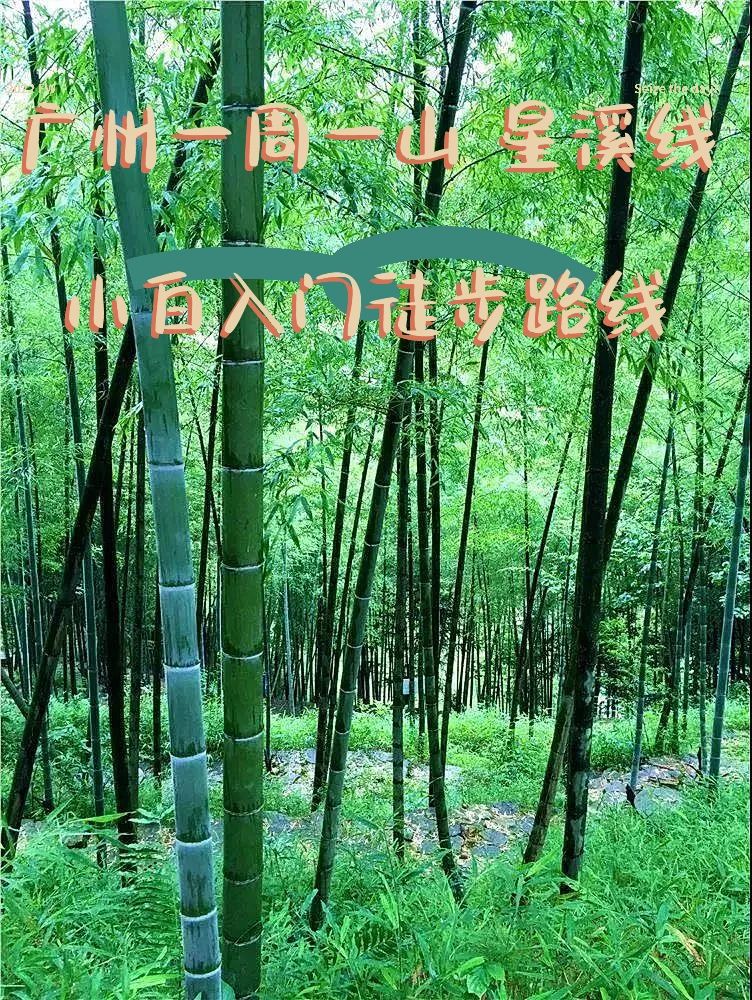 广州周边徒步老少兼宜0难度徒步最美线路