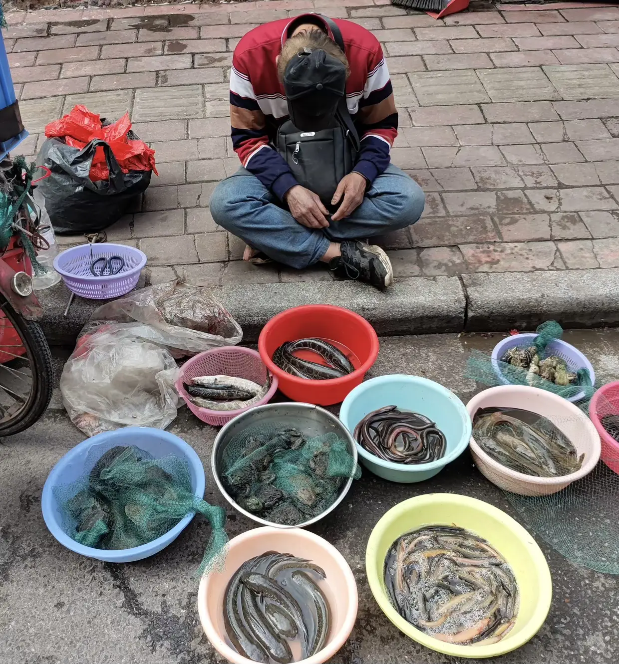 没有水这鱼不会臭吗？
