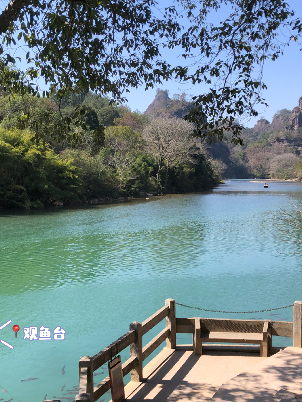 武夷山打卡拍照点