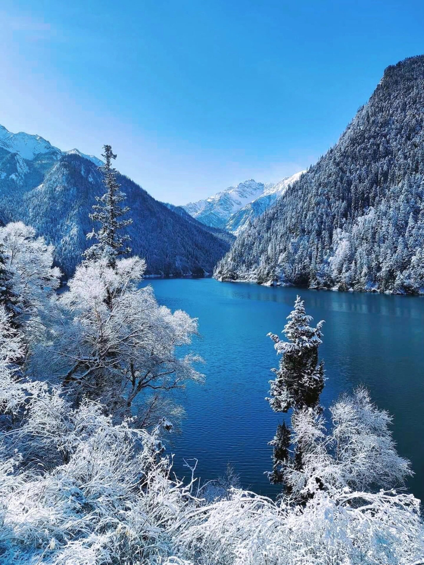 雪落人间❄️九寨沟大雪美翻谁了⁉️