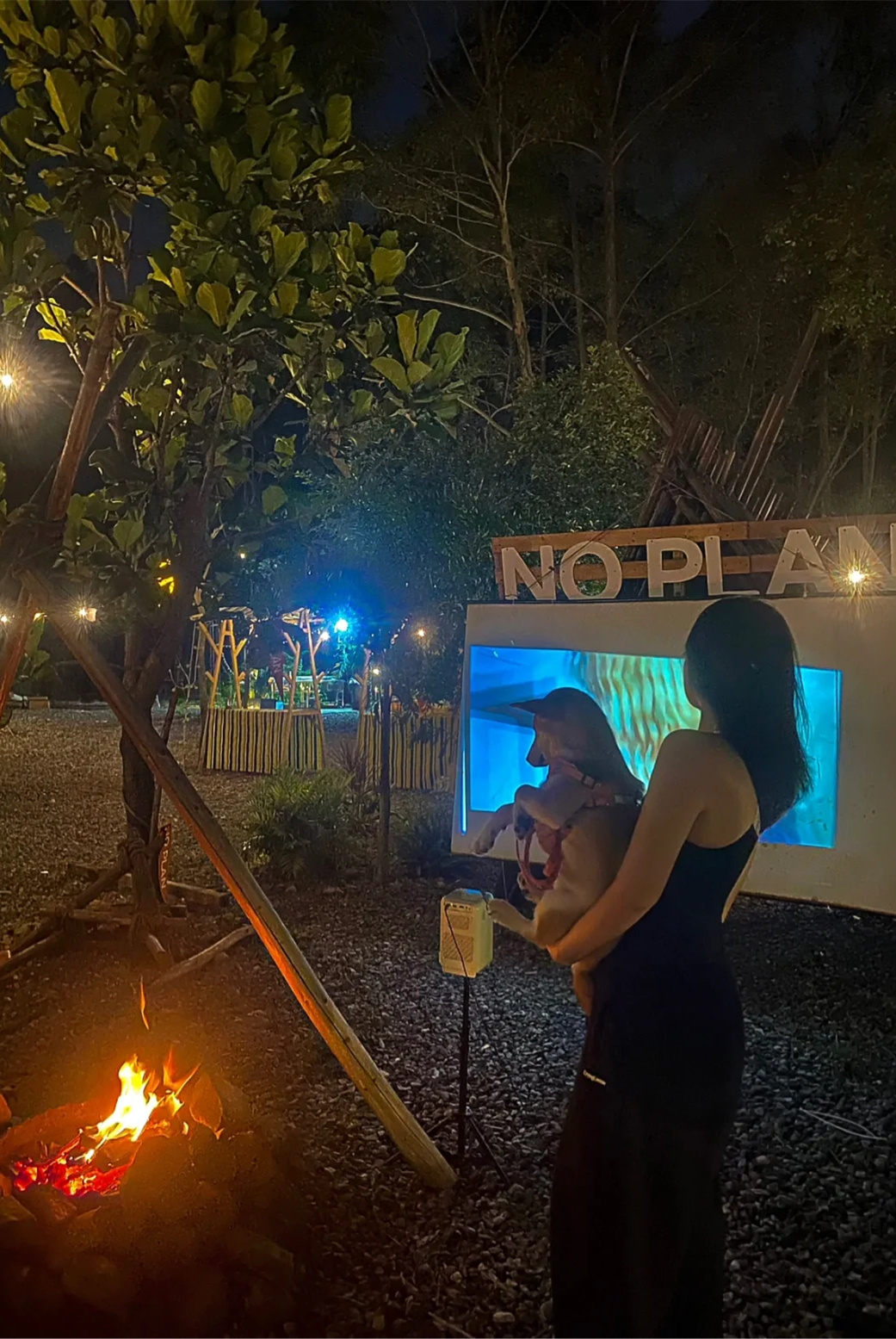 广州露营⛺️不过夜🉑️带宠物好去处