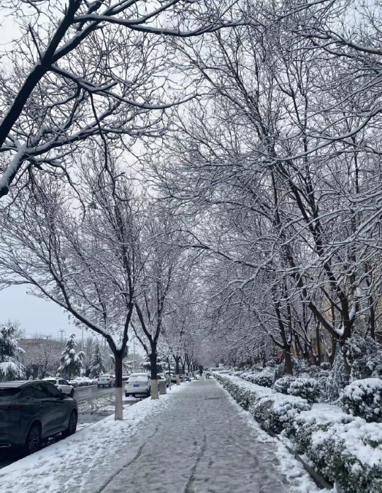妈妈发来
看的想回去玩雪❄