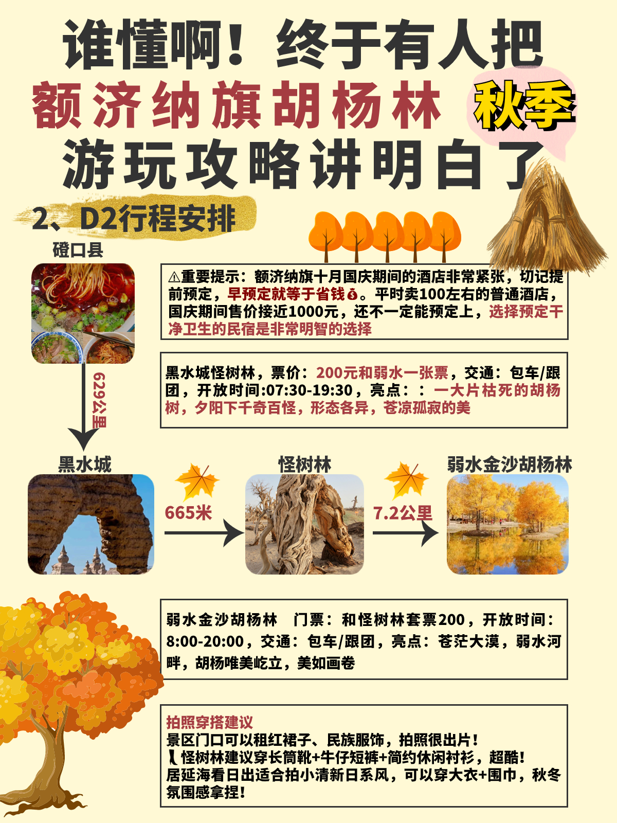 谁懂啊，终于有人把胡杨林游玩攻略讲清楚了