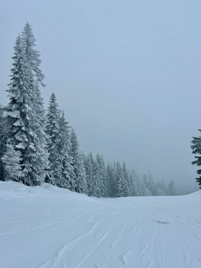 下的是雪，滑的是冰 