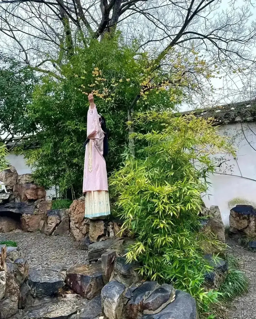 男朋友给拍的照片
