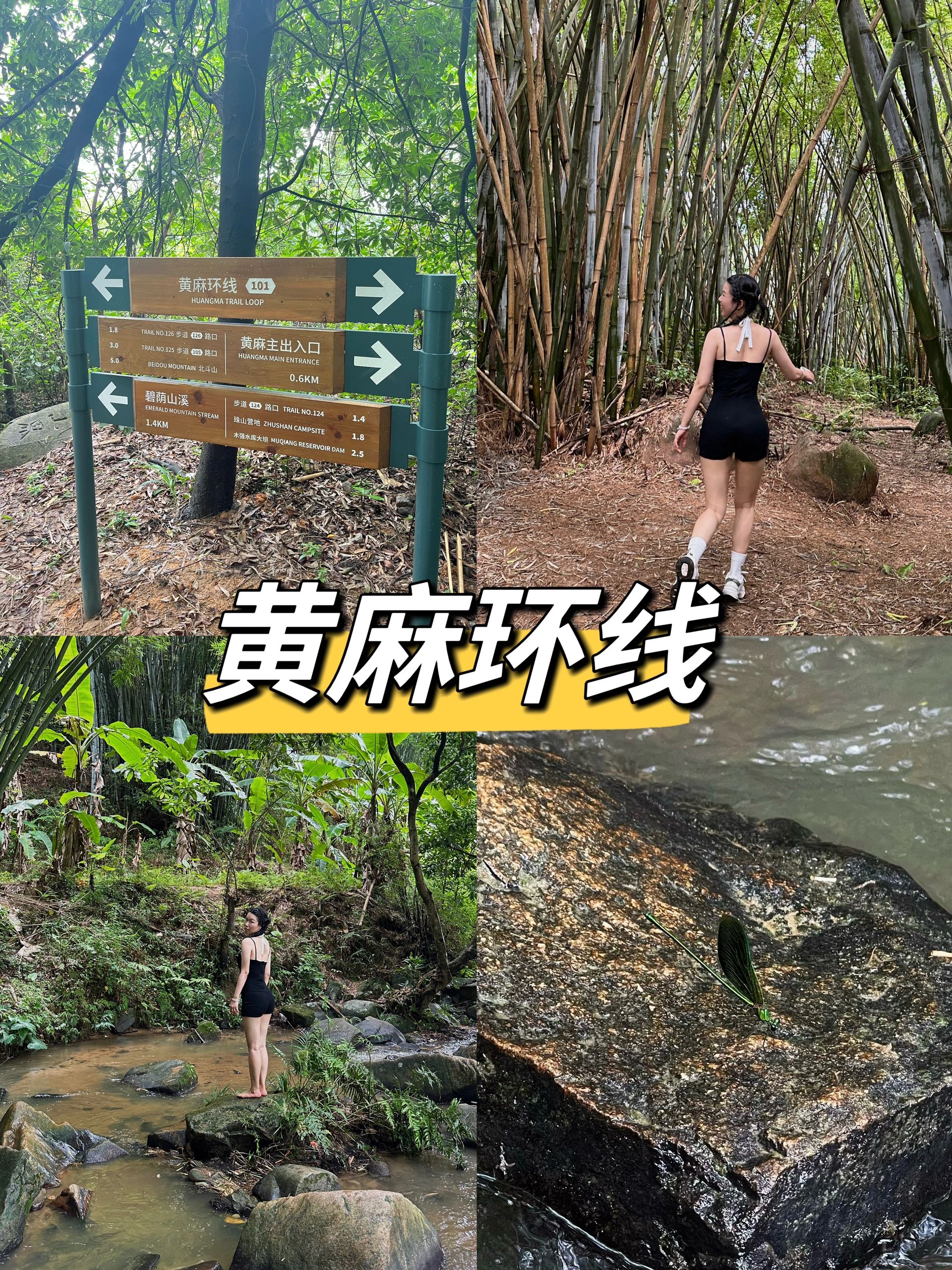 黄麻环线−不用涂防晒的徒步路线