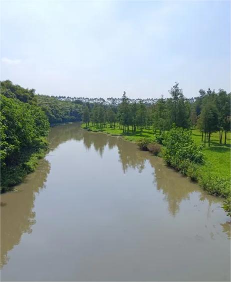 燕岭湿地公园 休闲去处