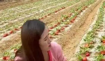 要不是我也是从农村出来，我还真就信你