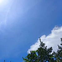 亮点修行