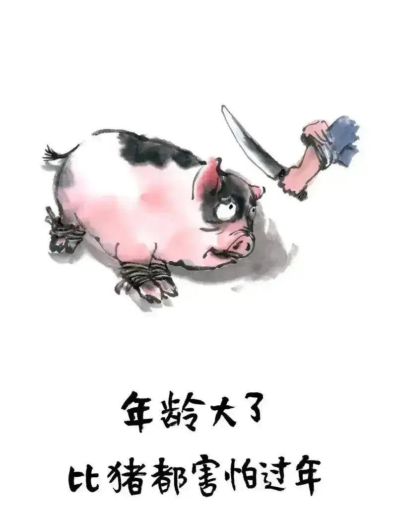 这个年纪，真的比猪都害怕过年！
路费：广州—郑州机票三人来回7500，
高铁：三